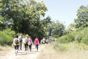 25 trekking
