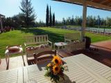 sanmartino2