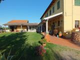 sanmartino5