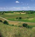 colline-m2_16470