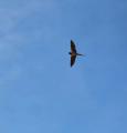 img_5905_72612