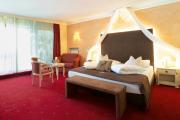 bild-4_bearbeitet-arnika