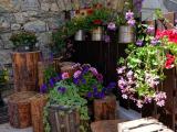 giardino_soggiornodolomiti