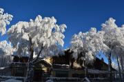 struttura_29