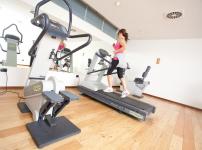 17 palestra