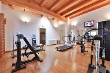 05 palestra