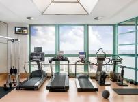 12 palestra