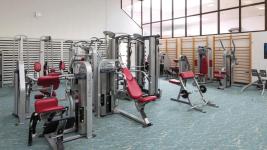 15 palestra