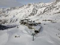 stambecco