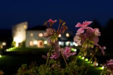 826-notturno