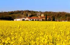 02_lesorgive_slideshow