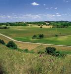 colline-m2_16470