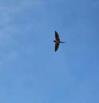 img_5905_72612
