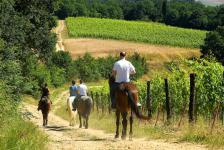 passeggiata-a-cavallo