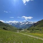 img_7405-610x610