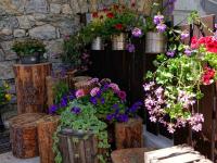 giardino_soggiornodolomiti