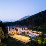hotel-trentino-baselga-pine-00003
