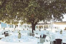 quercia5-min