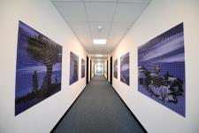 foto (4)