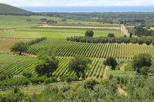 Agriturismo a Castagneto Carducci