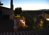 Agriturismo in fraz. Roselle a Grosseto