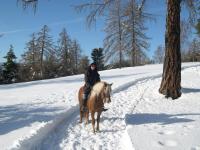 Hotel 3 stelle a San Genesio