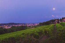 Relais 4 stelle a Conegliano
