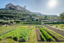 Agriturismo ad Assisi