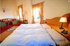 Hotel 3 stelle a Ronzone