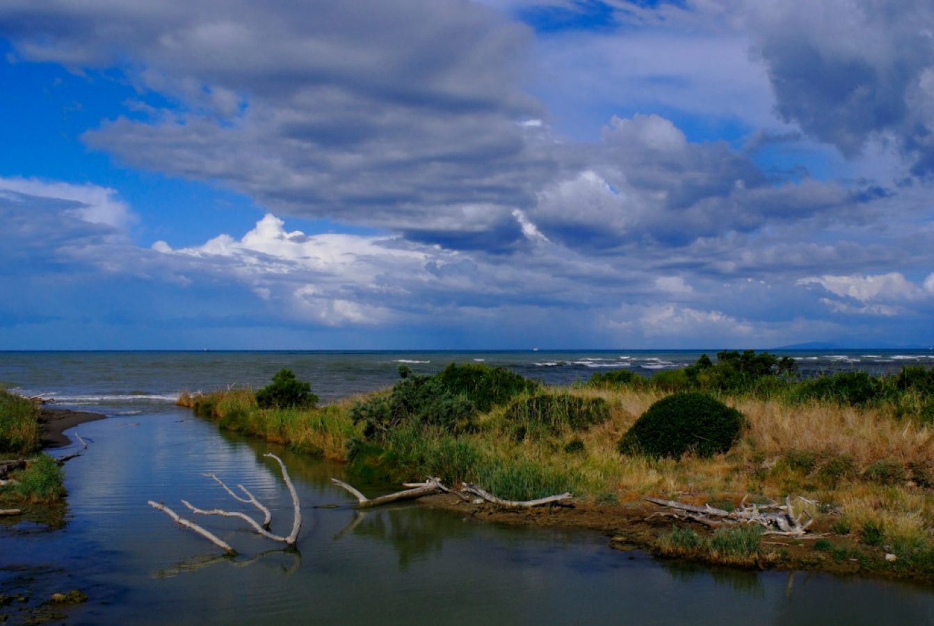 01 il parco naturale della maremma