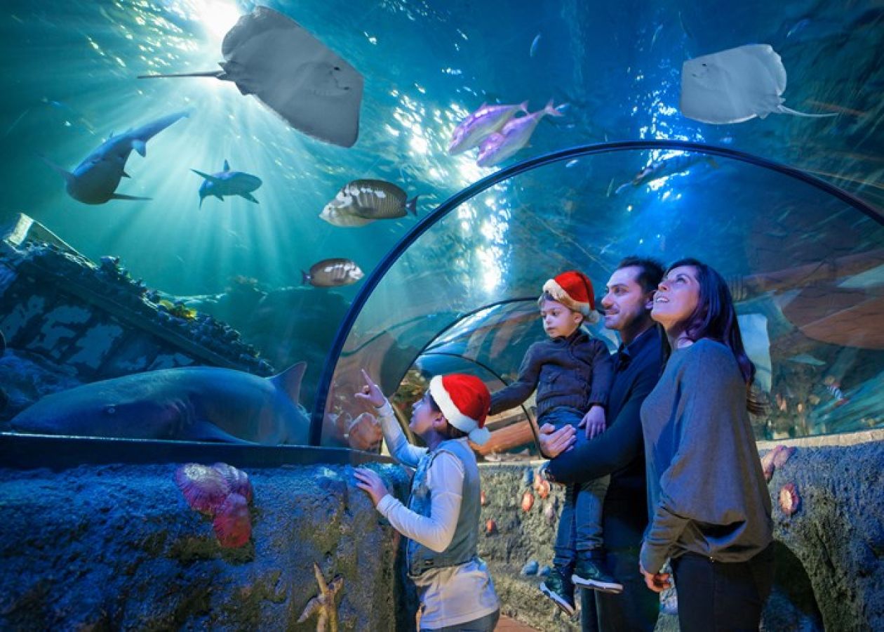 04 gardaland