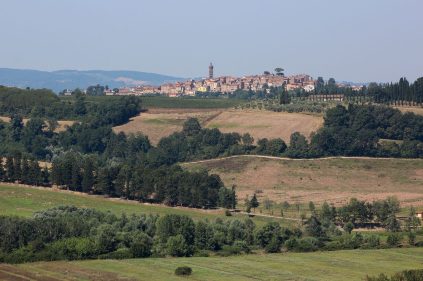 il borgo di peccioli