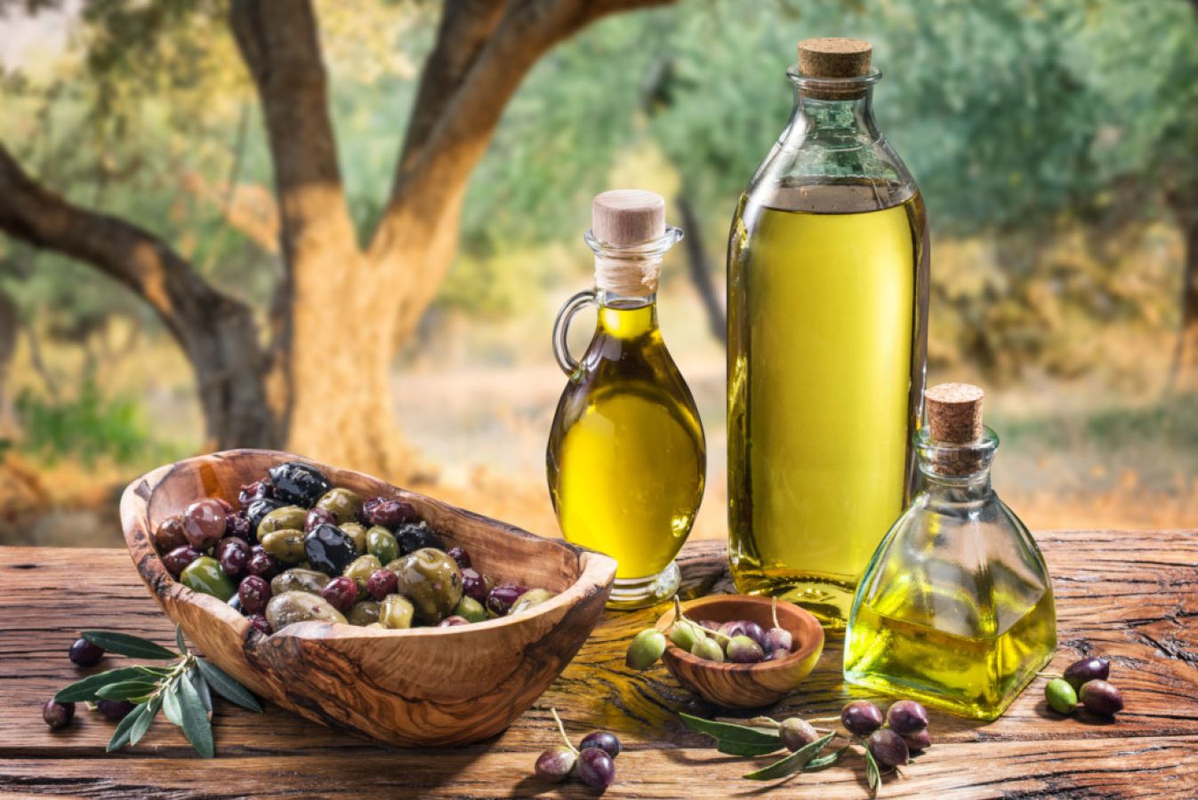 02 olio di puglia