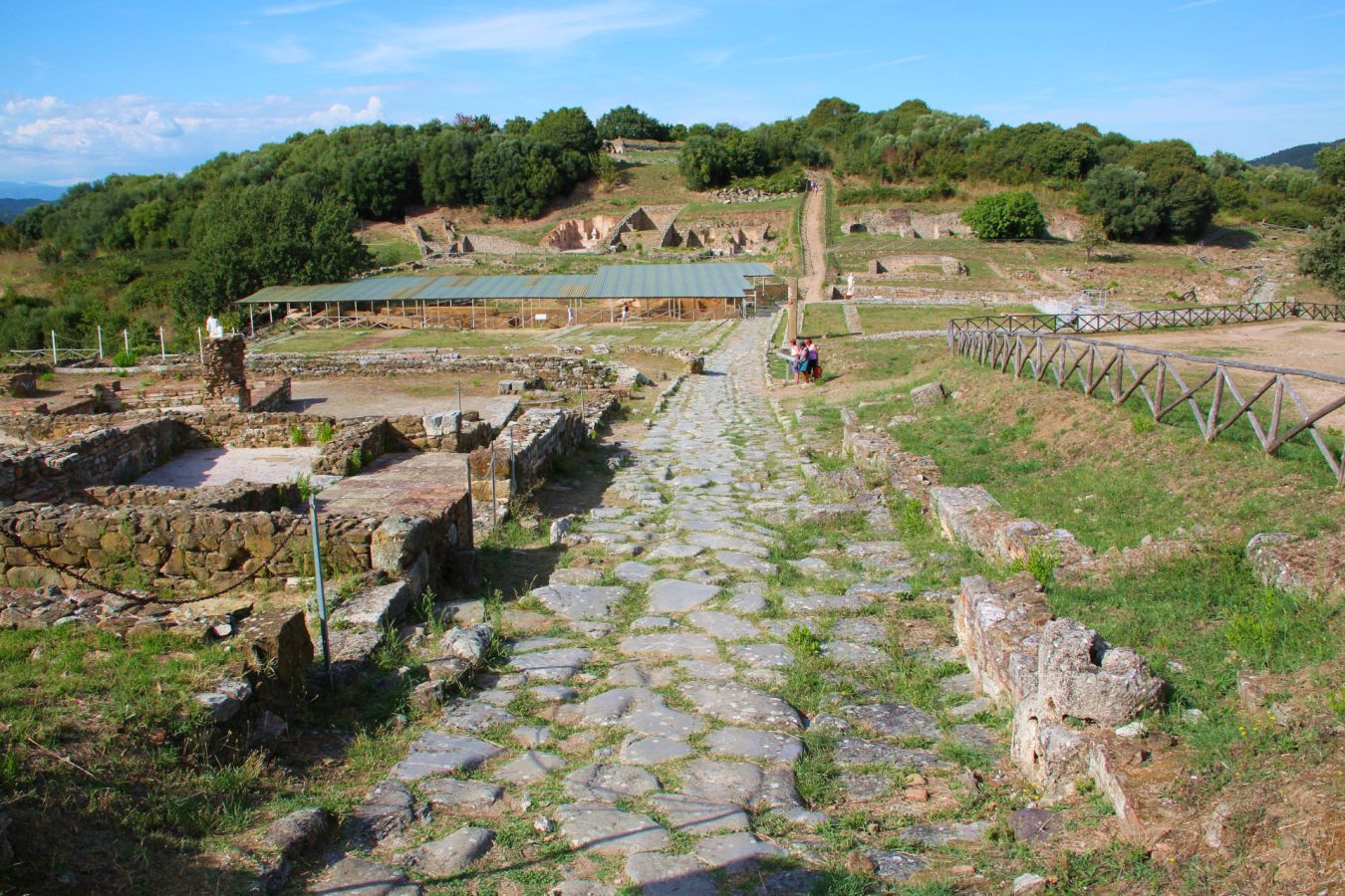 04 il parco archeologico di roselle