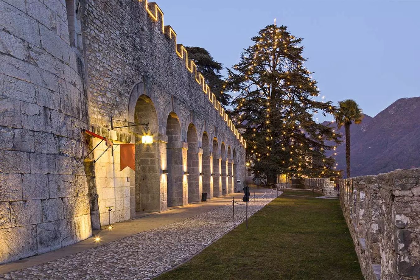 albero di natale