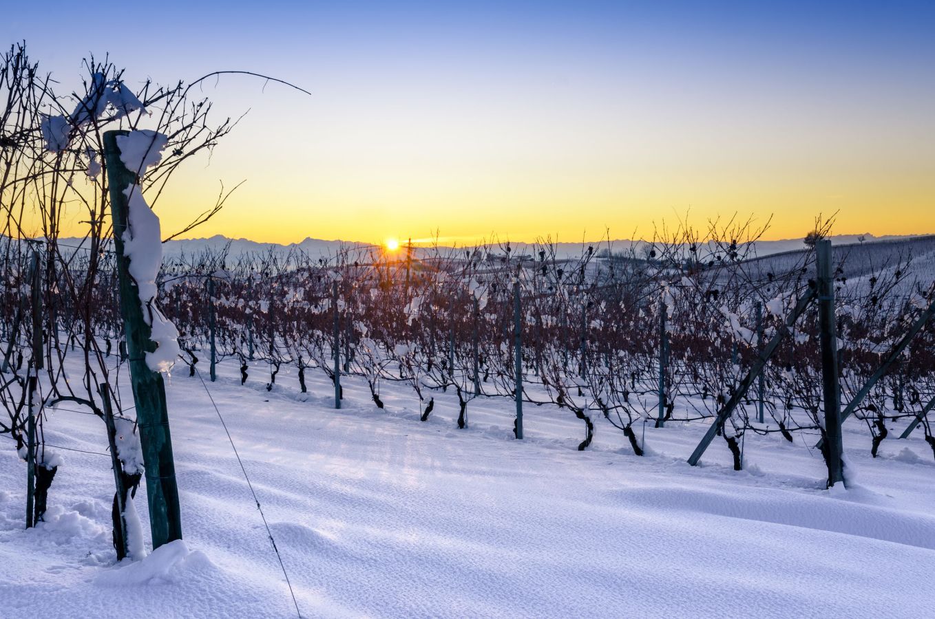 91736462_l vigneti del barolo sotto la neve, roero, piemonte