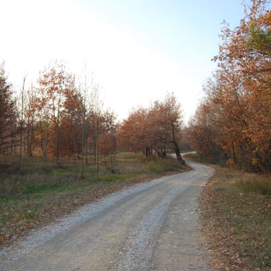 parco roero-autunno