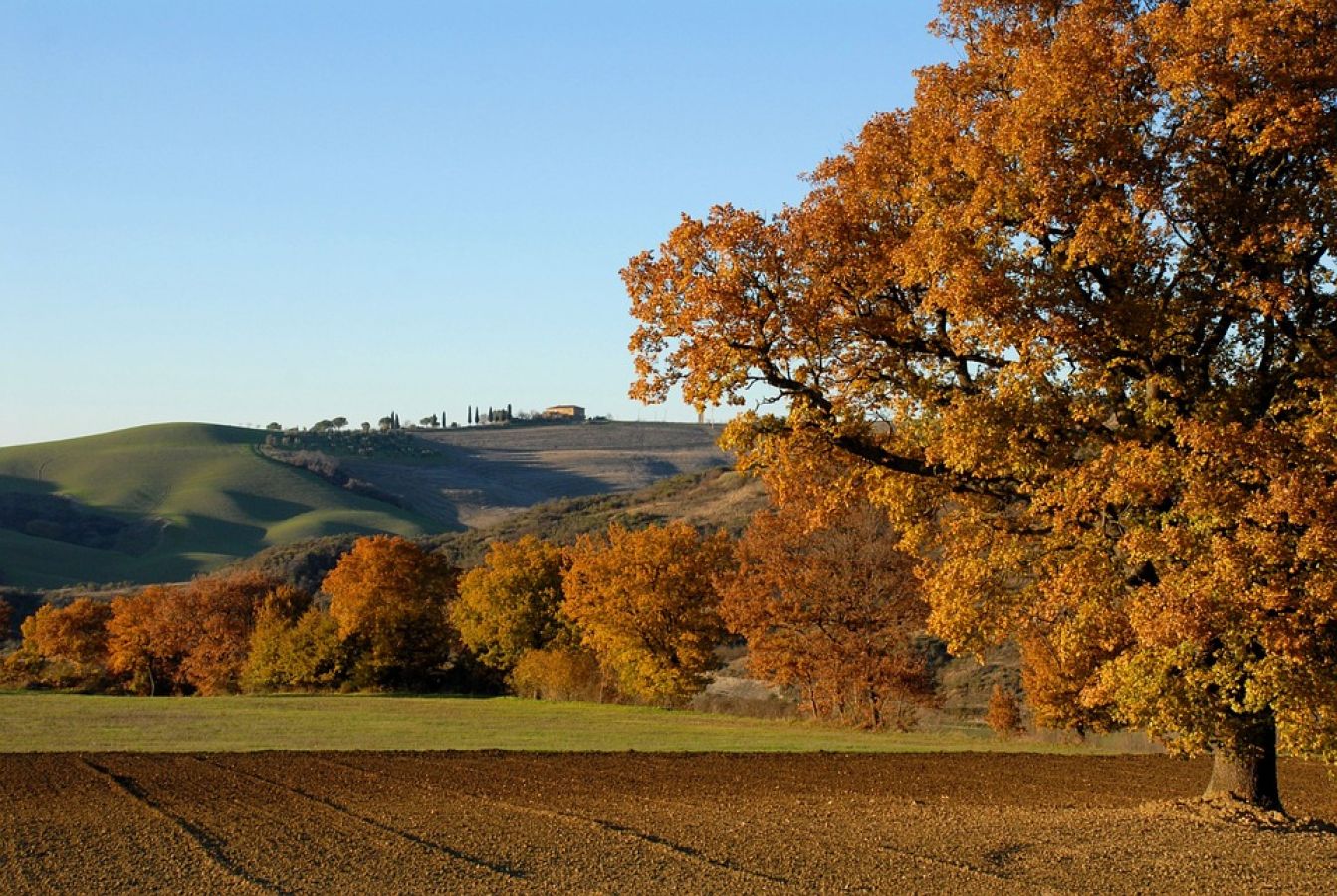 colli bolognesi