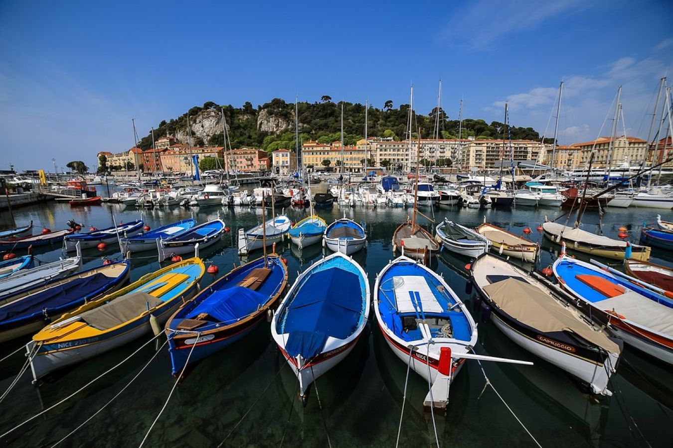 nizza 5