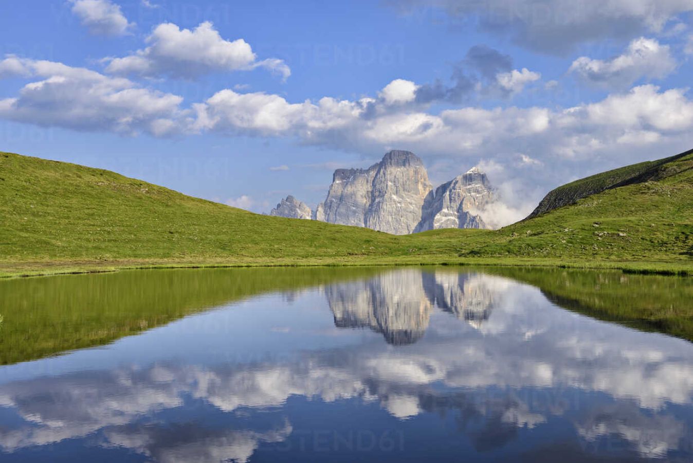 cadore