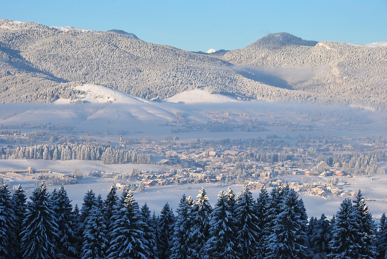 asiago