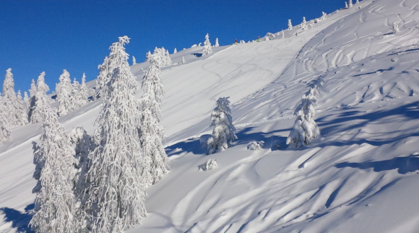 asiago2