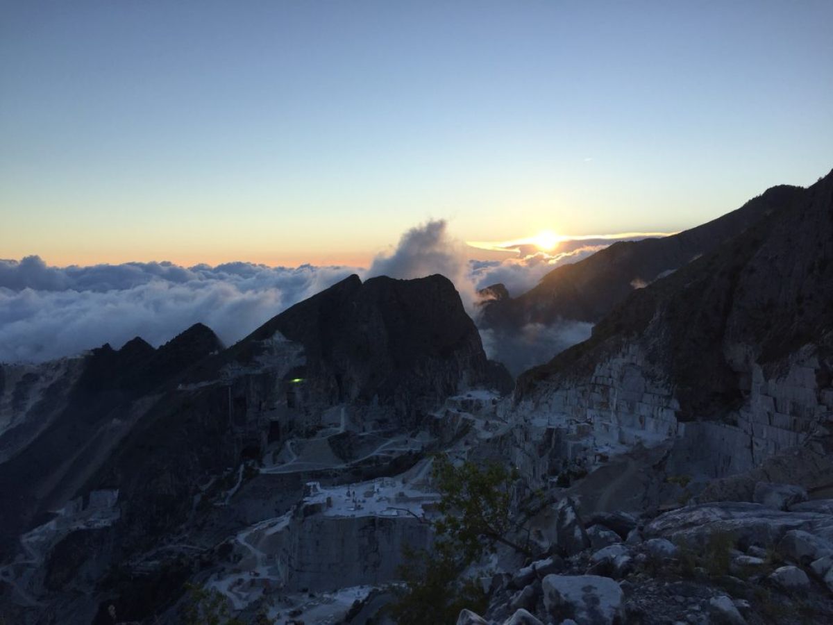 carrara