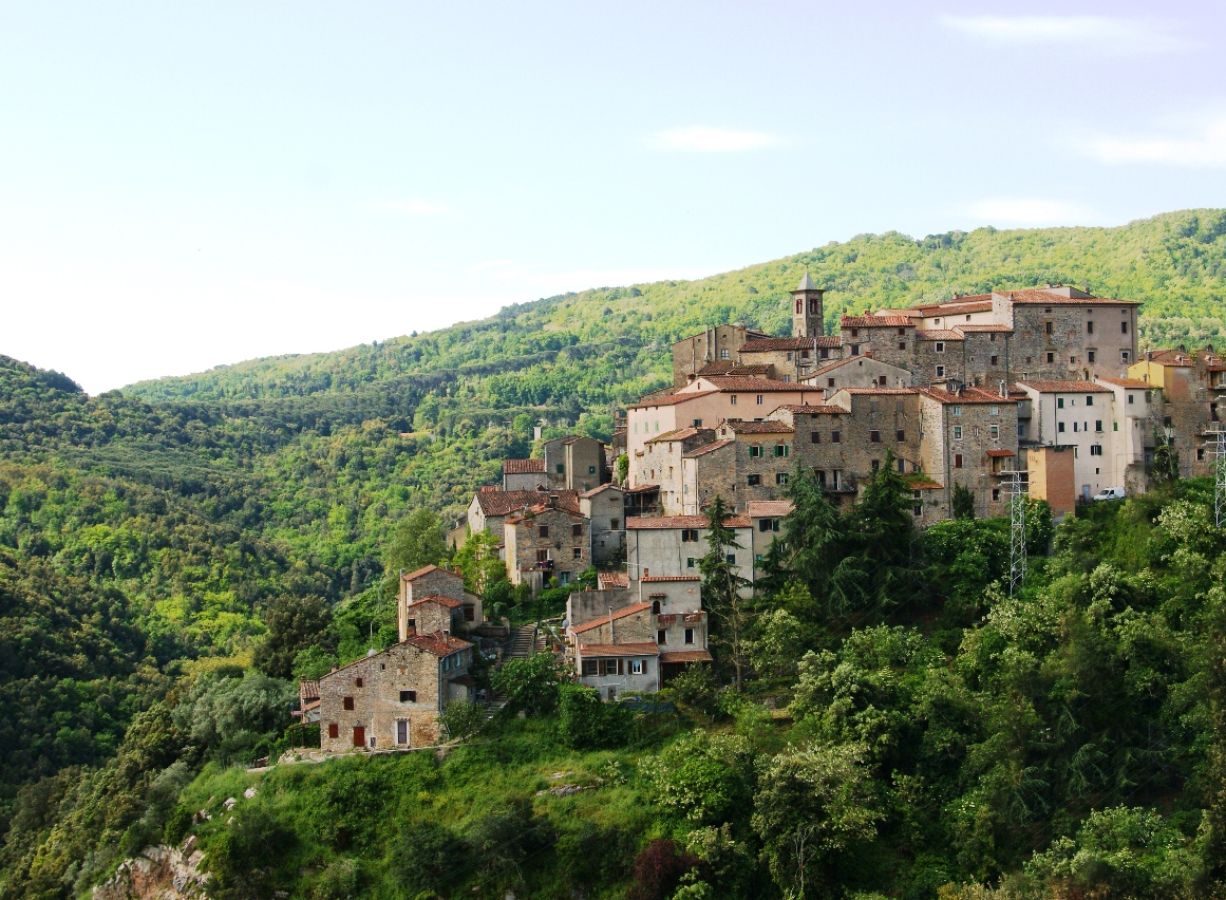 suvereto1