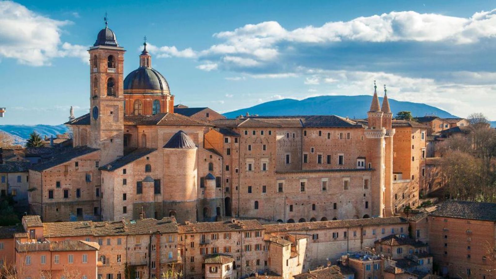 urbino