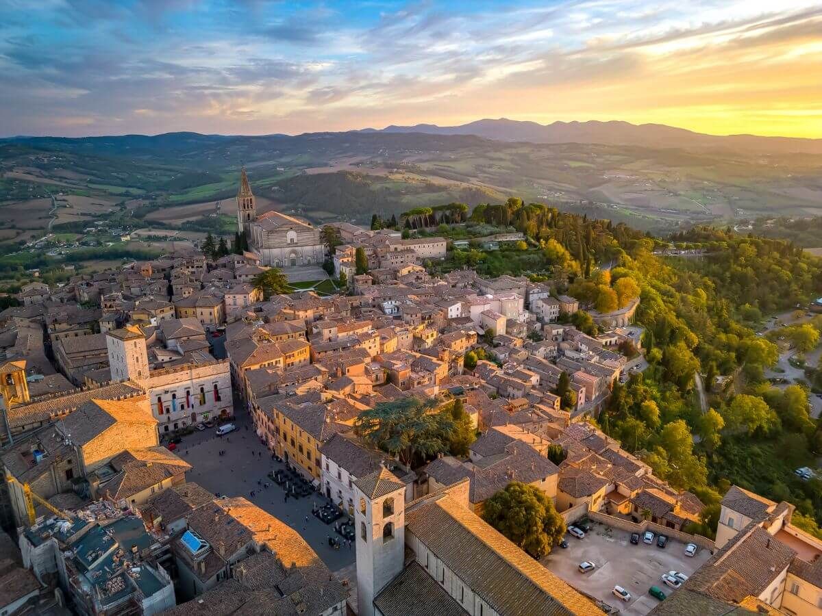 todi