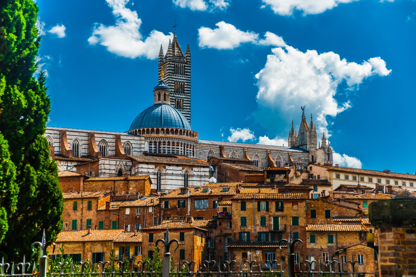 47471581_xxl siena, toscana, italia