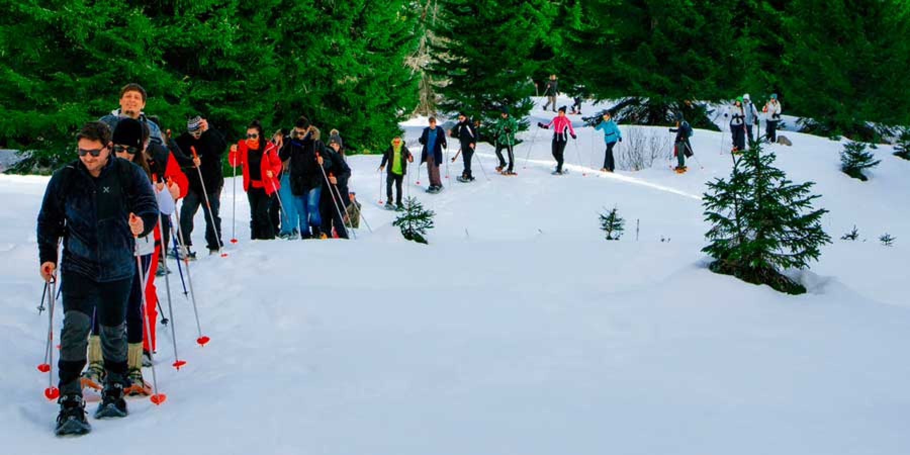 experience folgaria vgmania 3