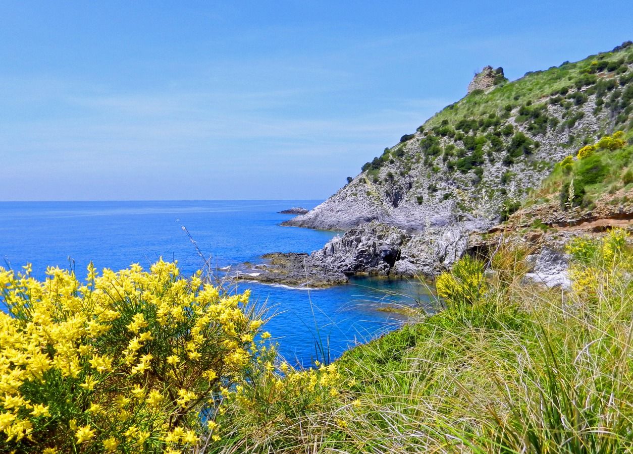 panorama
