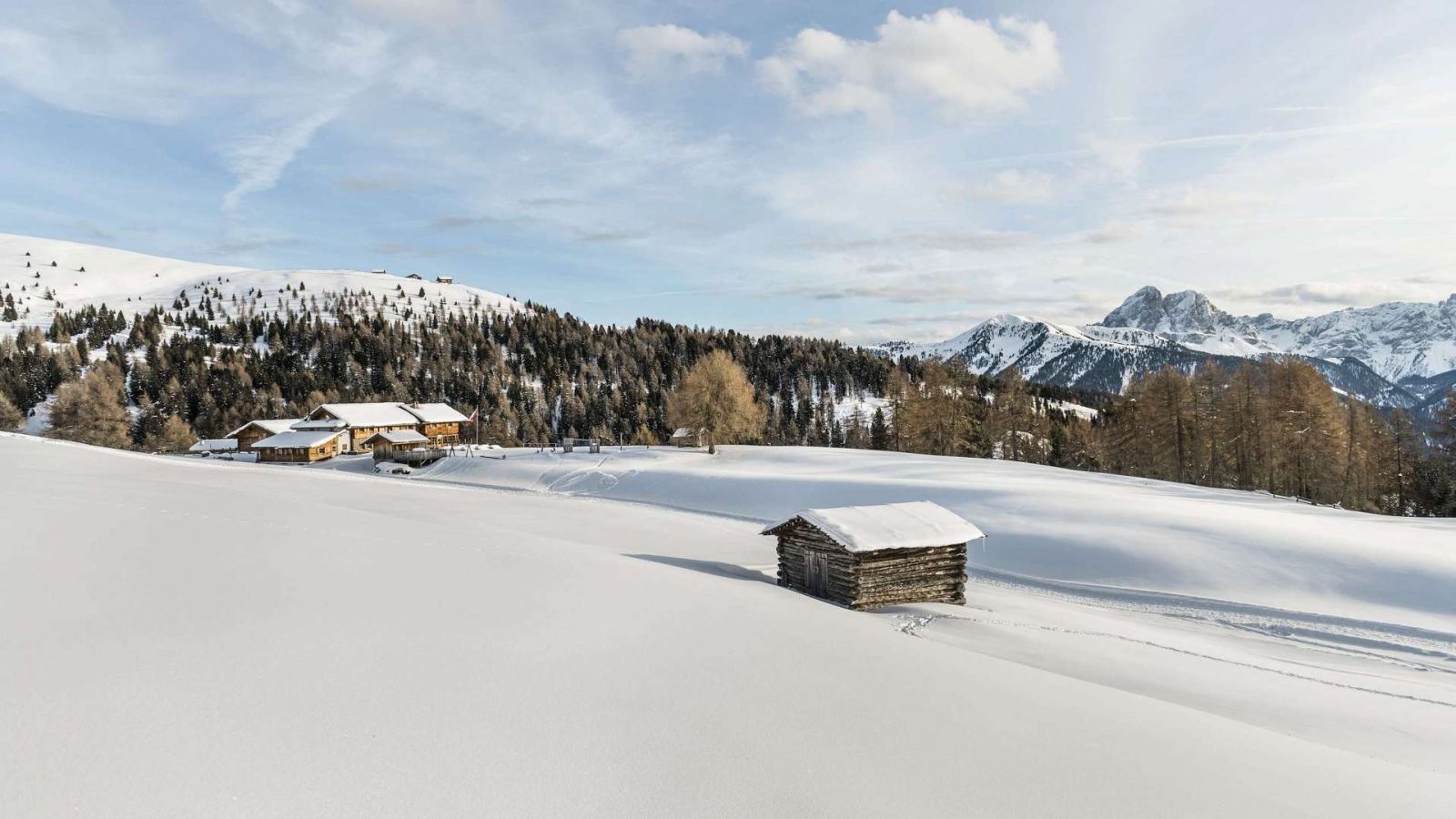 neve